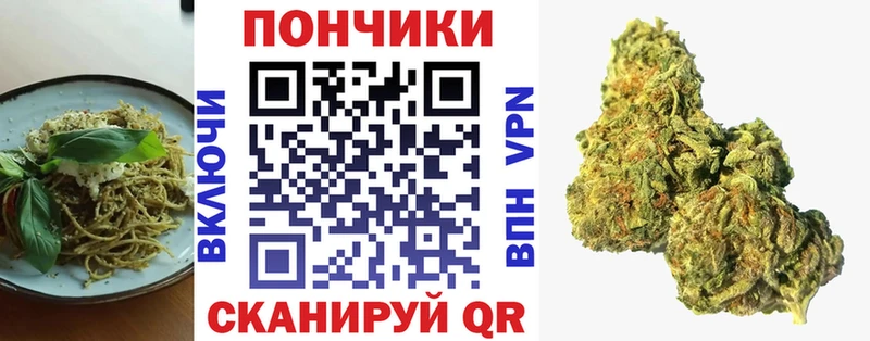 где продают наркотики  Шумиха  Canna-Cookies конопля 