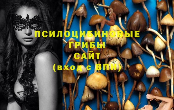 синтетический гашиш Алексеевка