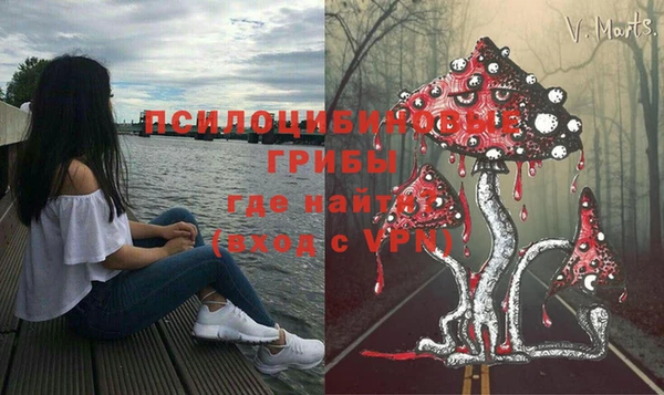 амфетамин Алексин