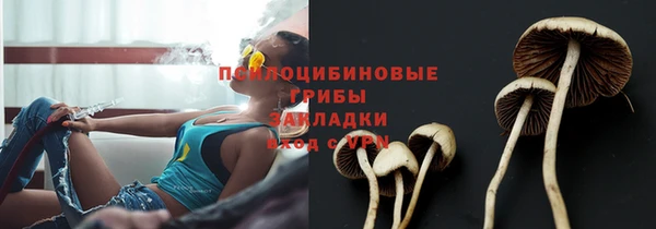 синтетический гашиш Алексеевка