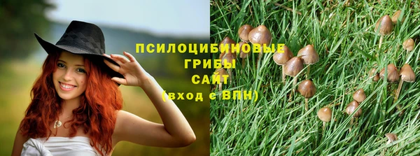 амфетамин Алексин