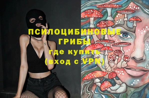 амфетамин Алексин